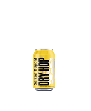5410702001444 Saison Dupont Dry Hop Láhev 33cl